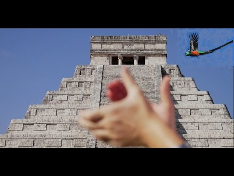 Chichen Itza suono archeoacustico dell'uccello Quetzal (bird sound)