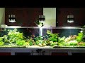 Aquascaping 2 metros 400 litros Valladolid