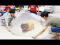 보람이와 또치 코난 초거대 슬라임 만들기 놀이 Boram making GIANT SLIME BUBBLE