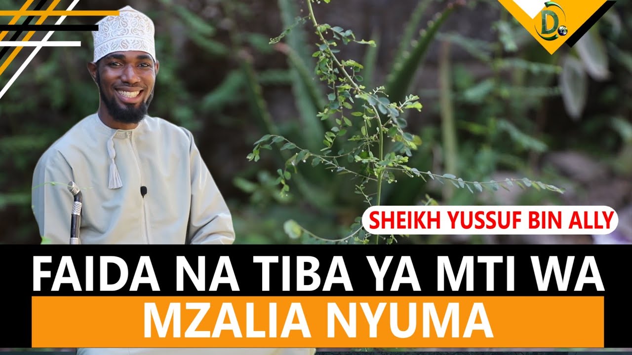 IJUE FAIDA NA TIBA YA MTI WA MZALIA NYUMA |SHEIKH YUSSUF BIN ALLY