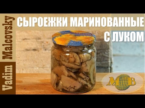 Консервация сыроежки маринованные с луком. Как законсервировать грибы. Мальковский Вадим