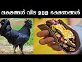 ലോകത്തെ വിലയേറിയ ഭക്ഷണങ്ങള്‍ | Most Expensive food in the World