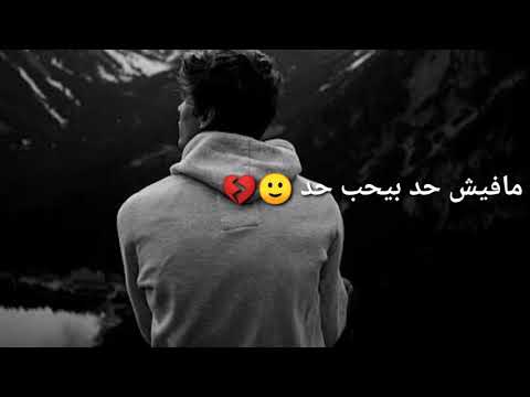 حالات واتس حب ايه يا عبيط عمر فراوله و علي المصري