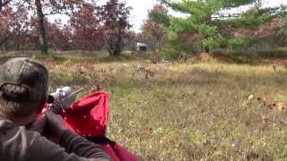 Tannerite Compilation