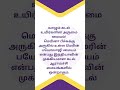 மெரினா பீச்சைப் பற்றி தெரியாத 5 விஷயங்கள்! 🌊😲