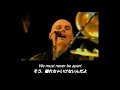 【和訳】The Smashing Pumpkins - Ava Adore (Live)