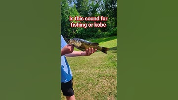 Thumbnail of #cover #song #fishing #bassfeatured