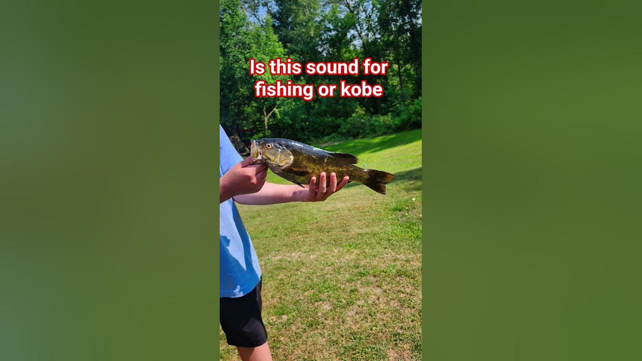 #cover #song #fishing #bassfeatured