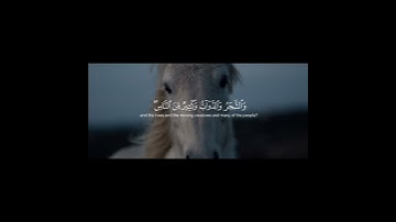 سورة الحج #قران_كريم #quran #yasseraldossary #ياسر_الدوسري #سبحان_الله