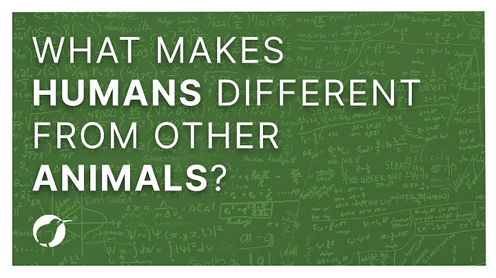 What Makes Humans Different From Other Animals?
