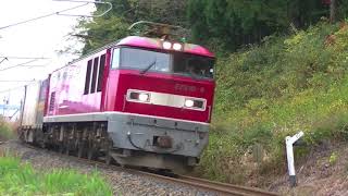 3099レ EF510-9 早口〜下川沿 2017 1029