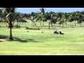 Dacotah Ridge Golf Club at Jackpot Junction Casino - YouTube