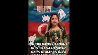 Mikayılzadə Pərvin - Xilaskar