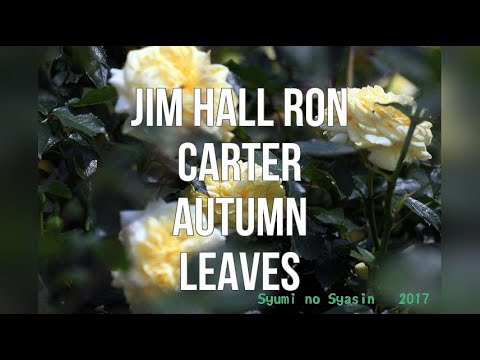 Jim Hall Ron
