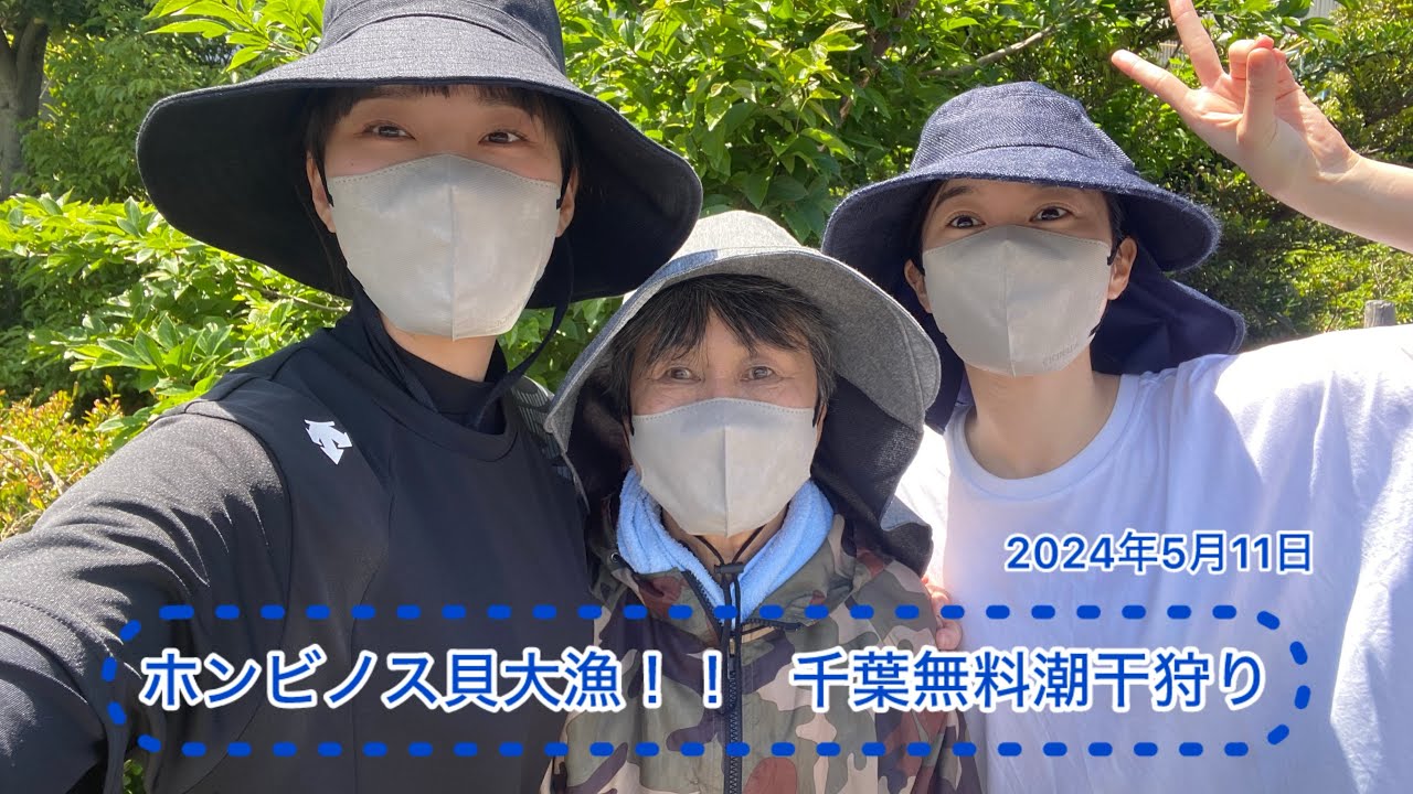 【孫友参戦!!】ホンビノス貝大漁！千葉無料潮干狩り 2024