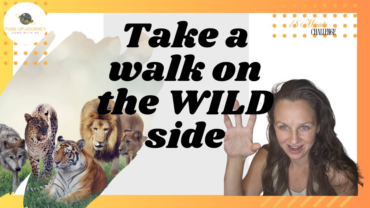 Ready for an epic African Adventure without leaving the city? take a ...