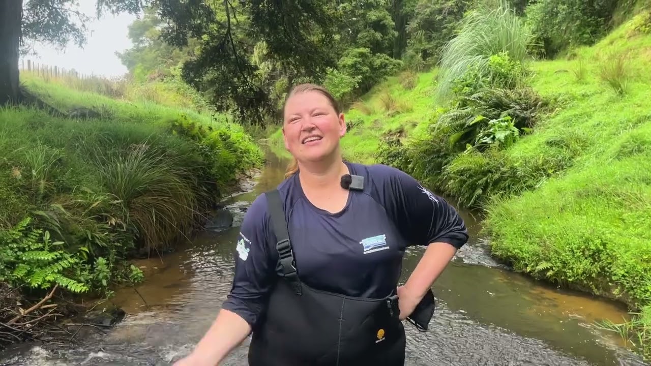 A video of kākahi monitoring in the Arapārera catchment