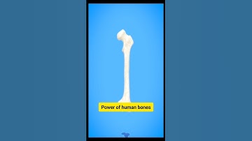 Power of human bones#shorts#facts#viralvideo