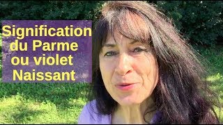 violet couleur signification