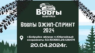 BOBRЫ 2024