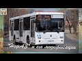 Автобус "НефАЗ" и его модификации | Bus "NefAZ" and its modifications