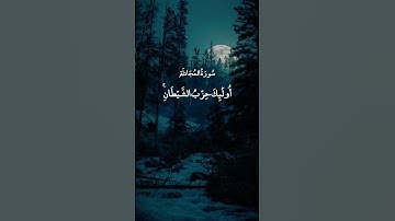 اسْتَحْوَذَ عَلَيْهِمُ الشَّيْطَانُ || سورة المجادلة || عبد الباسط عبد الصمد