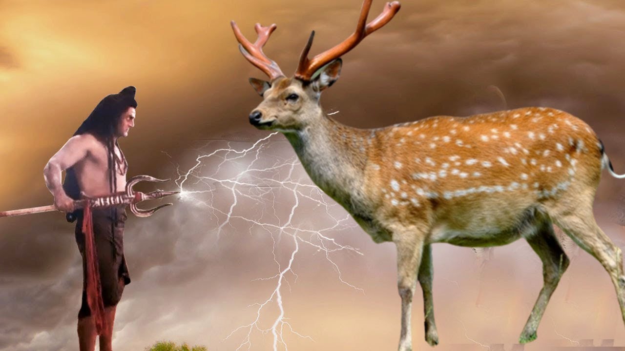 how-lord-shiva-protected-deer-from-hunter-tamilseries971-youtube
