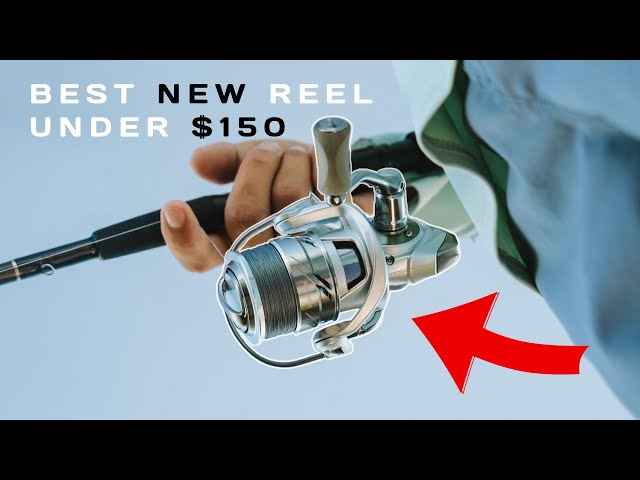 discount fish lures THKFISH 5.9in 1pc/3pcs Saltwater Tuna Popper Topwater Fishing Lures, 1PC-BLU-GRN A simple twitch of Fishing Reel Seat Inserts Lucana Copper Combos:300' Convector 55L -Reel only