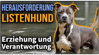 Erziehung bei Pitbull Terrier, Staff und Co.  Was ist bei Listenhunden zu beachten?  TGH 432