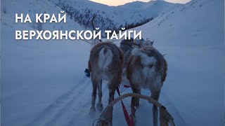 В поисках горного барана - чубук: Проехала больше 180 км по Верхоянской тайге