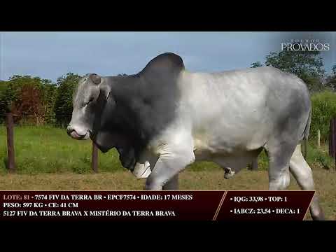 LOTE 81   EPCF 7574