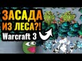 Cascraft: Как этот ПСИХ до этого додумывается?! Жрица, засада и ШОК в Warcraft 3 Reforged