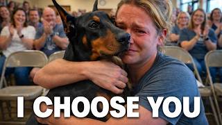 Dogs Choose Their Humans (Best Adoption Stories)