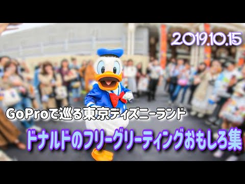 Goproで巡るドナルドのフリーグリーティング 東京ディズニーランド 19 10 15 Youtube