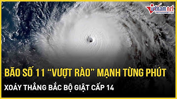 Diễn biến mới nhất: Bão số 11 Matmo “vượt rào” mạnh từng phút, xoáy thẳng Bắc Bộ giật cấp 14
