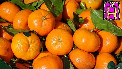 Cosa mangiare insieme al succo d'arancia?