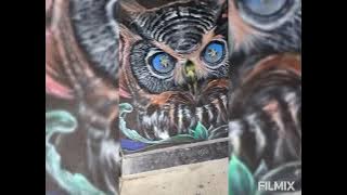 Poison -A HeartFeltConceptSong. TheSkyResponded🖤❤️🤍