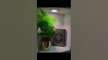 تلاوةخاشعة الشيخ بدر التركي