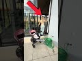 EU NUNCA MAIS SAIRIA DESSA CASA!