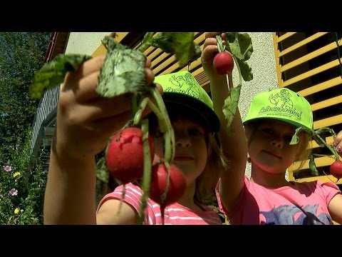 kinder-gärten-für-kindergärten