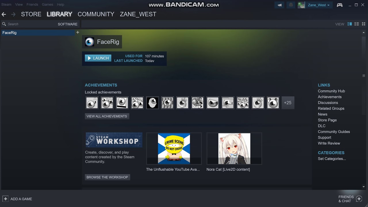 how to open facerig without steam how to open facerig without steam