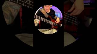 MTD Saratoga 4 strings with Bartolini vintage double reverse P Pickups @michaeltobiasdesign