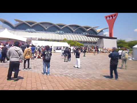 博多どんたく 2018.5.4　 港本舞台会場
