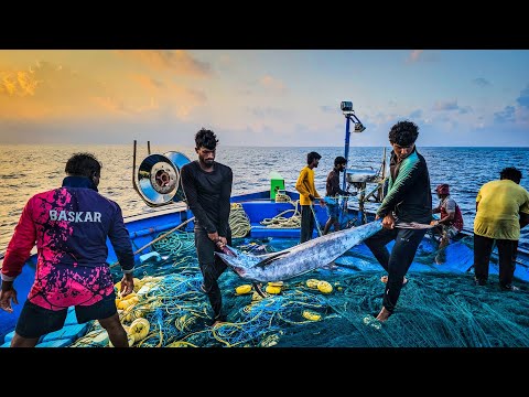 WOW ❤️We Catch Big Sized "BLUE MARLIN" In Deep Sea 😮 | Vlog-4 | DEEP SEA FISHING
