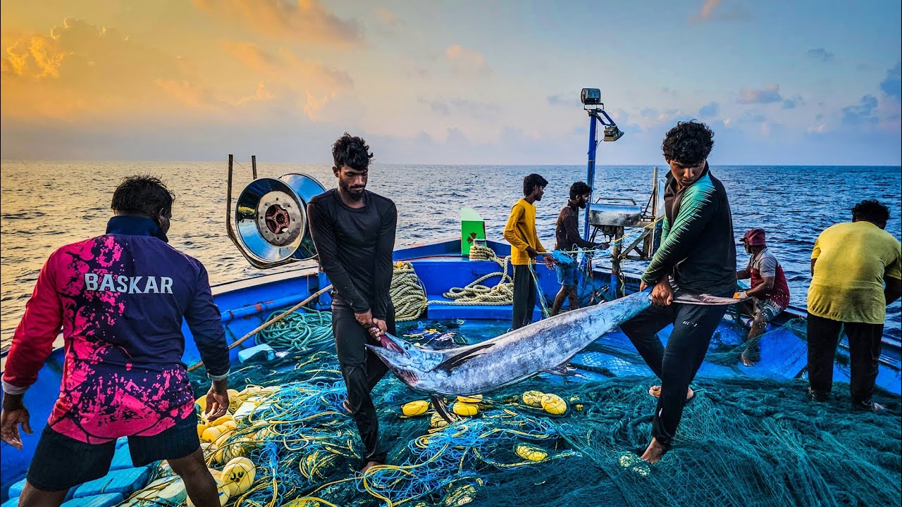 WOW ❤️We Catch Big Sized "BLUE MARLIN" In Deep Sea 😮 | Vlog-4 | DEEP SEA FISHING