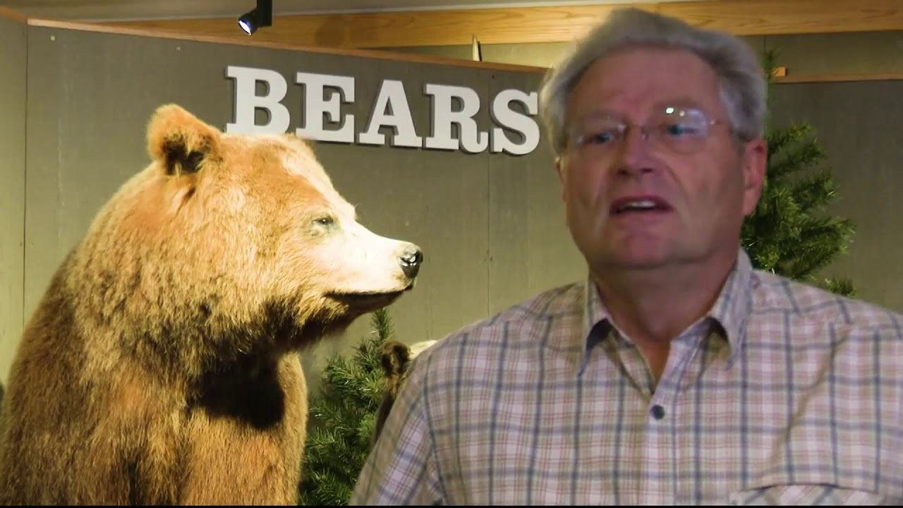 Bear spray or bullets? Staying safe in Montana grizzly country YouTube