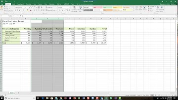 Excel Ch 1 PP 1-3 Movie 1 (all steps)