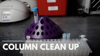 Column Clean Up