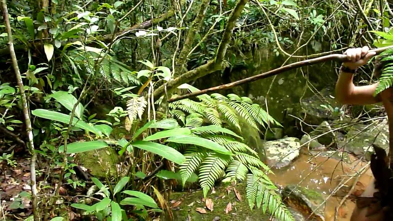 Incredible discovery: The Last aboriginal Brazilian Tribe