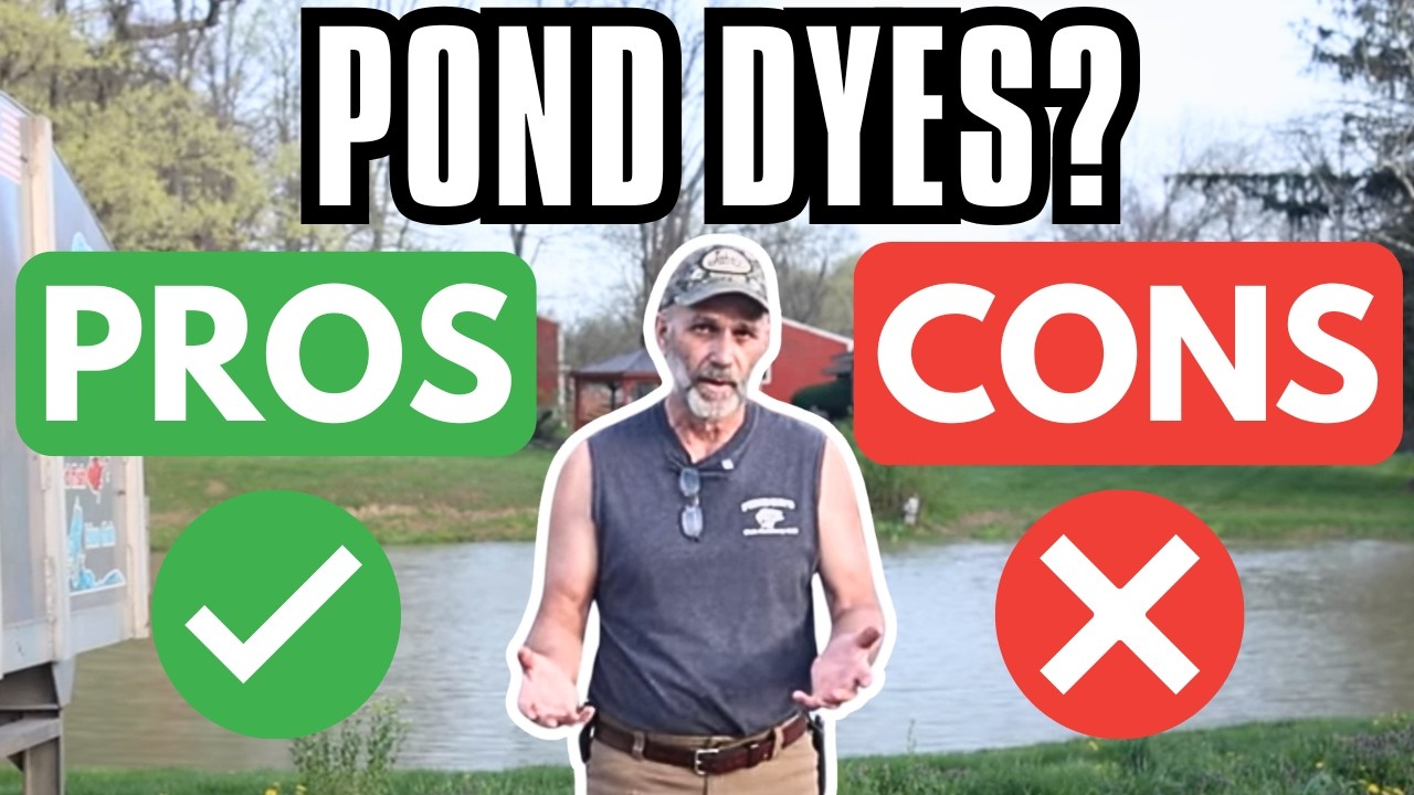 Fish Hatchery Owner Explains Pond Dyes